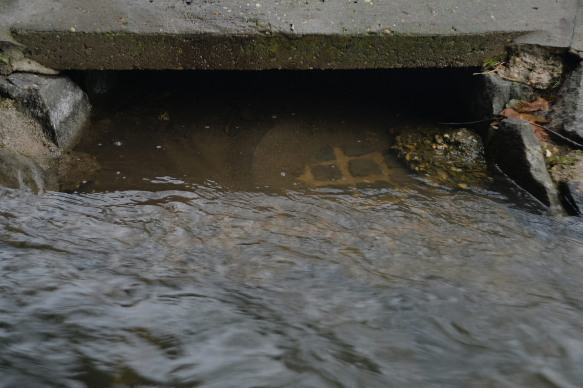 a small stream of water running under a bridge